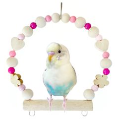 Item thumbnail for item 929e0929-fbd2-4200-bdf4-67151b61c36e