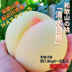 ☆7月下旬~発送「クイーンピーチ和歌山の清水白桃」(手提げ小箱5~6玉入)/お買い得/お試しサイズ/少し訳あり/食べ頃/プチ贅沢/お取り寄せ/産地直送
