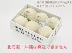 「外だけ規格外品」6玉で8kg以上外まで甘いマスクメロン