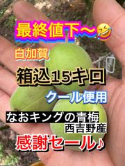 最終値下 青梅 箱込15キロ クール便 数日限定セール なおキングの梅
