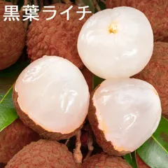 ライチ　品名　黒葉種 compass1687586089.jpg