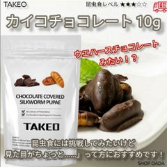 【昆虫チョコ】カイコチョコレート 10g