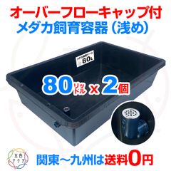 新仕様】メダカ飼育ケース 36㍑x2個【4色あり】オーバーフロー