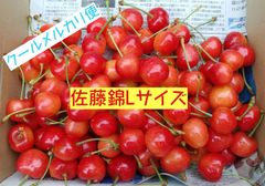 山形県産さくらんぼ 佐藤錦　Lサイズ約1㎏(クール便発送)
