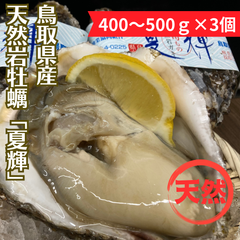 【今が旬！！鳥取の夏の味覚！】鳥取県産ブランド天然岩牡蠣「夏輝」（400～500ｇ×3個セット）【6月9日発送予定】
