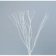 Item thumbnail for item af7d716f-5fe5-4c93-b28e-0261f4b58195