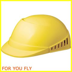 Item thumbnail for item fda36f20-f418-4f95-8a87-b2dca7d10b38