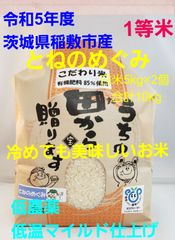 令和5年度　茨城県稲敷市産　 とねのめぐみ　白米5kg✕2個　合計10kg