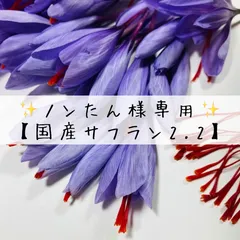 ✨ノンたん様専用✨