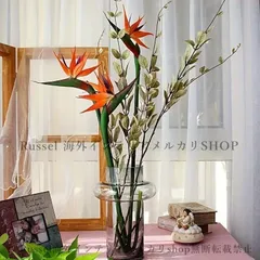 792【激レア・廃盤・貴重・希少】縁起物♪極楽鳥花 ストレリチア