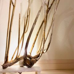 女性に関する十二章　LED　流木アート　インテリア　NW05