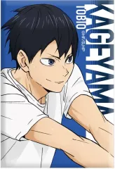 【新品】雑貨 影山飛雄 ミニアートスタンド ～レシーブ～ 「ハイキュー!!」