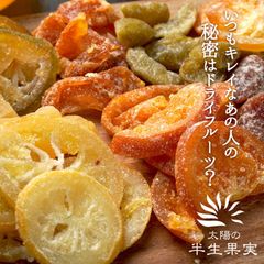 太陽の半生果実300g 　国産　ドライフルーツ　ミックス　いちご　レモン　清美オレンジ　はっさく　かぼす　りんご　温州みかん　白加賀梅　蒲屋忠兵衛商店