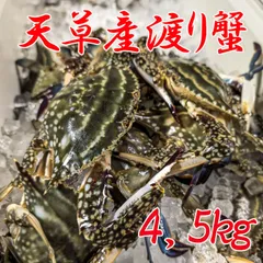 冬虫夏草 最高級品 天草 子実体高含有、衛生的 国内産
