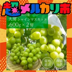 8/20より出荷開始【約1.2kg】山梨県産シャインマスカット 約600g×2房