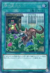 【中古】遊戯王 RC02-JP041[SE]：隣の芝刈り