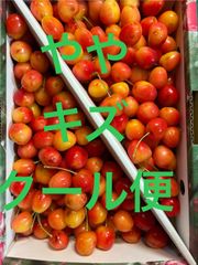 さくらんぼ（ナポレオン）Lサイズ 箱込1キロ程度 山形県産