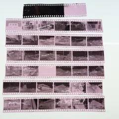 沖田浩之ネガフィルム7コマ