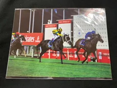 ［競馬］ステイゴールド（ドバイシーマクラシック）ポストカード／武豊／JRA非売品のサムネイル