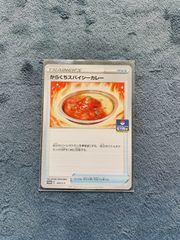からくちスパイシーカレー1枚