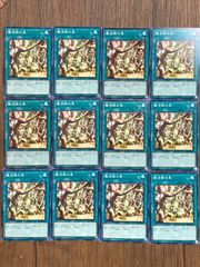 遊戯王　魔法族の里