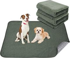 Item thumbnail for item a7ce1caa-e21c-4906-965a-cd691b8d7377