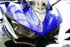 2024年最新】yzf r25 カウル 純正の人気アイテム - メルカリ