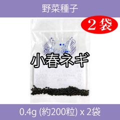 野菜種子 TVA05 小春ネギ 0.4g (約200粒) x 2袋