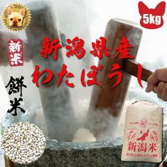 令和3年産 新潟県 わたぼうし もち米 玄米 ５ｋｇ  精米無料