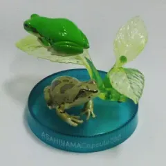 【中古】トレーディングフィギュア 6.ニホンアマガエル 「旭山動物園カプセル・ズー Vol.5 旭山動物園ヴィネット」