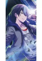 【中古】キャラカード 青柳冬弥 箔押しイラストカード 「プロジェクトセカイ カラフルステージ! feat. 初音ミク サマーフェア2022 in アニメイト」 対象商品購入特典