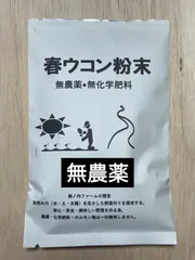春ウコン粉末　🌟今冬収穫・農場直送　無農薬•無化学肥料・無添加•無着色100㌘袋✨1,100円のサムネイル