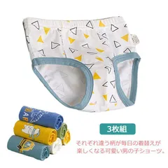 全6タイプ 3枚セット 男の子 下着 ブリーフ ショーツ 男児 100 110 120 130 140 150 送料無料 キッズ 小学生 幼稚園 入園準備 ボクサーパンツ アンダーウェア 子供 肌着 DsVY343