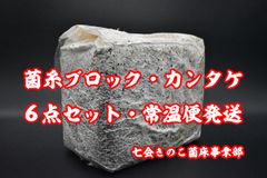 Item thumbnail for item 090a22e0-a39c-48be-bf2d-04ea6328d03f