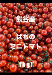 【甘くて濃い】熊谷産はちのミニトマト1kg!