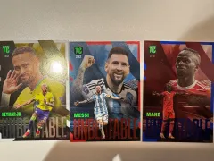Panini パニーニ サッカー カード （ 72 チャプター)