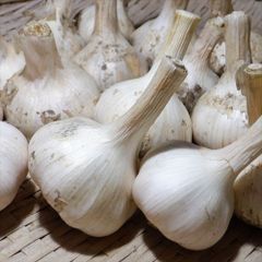 ニンニク　1kg　(M～Sサイズ混合)　自然栽培（無肥料・無農薬・無除草剤）