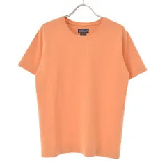 【PATAGONIA】53010 99年製半袖Tシャツ