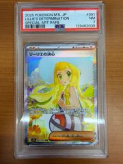 新品・未開封 ピチュー 045/P JRスタンプラリー プロモカード