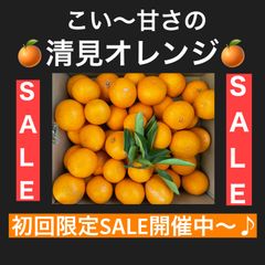 こい〜甘さの清見オレンジ　1キロ