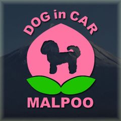 マルプーのドッグインカーかわいい桃ちゃんのピンク色ステッカー‼︎