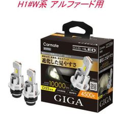 【定形外郵便】カーメイト GIGA LEDヘッドバルブ D10 4500K D2S トヨタ H1#W系 アルファード用【BW905】