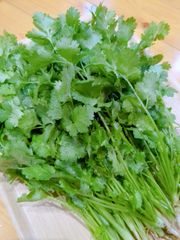 根無しです！自然栽培で育てた新鮮パクチー200g