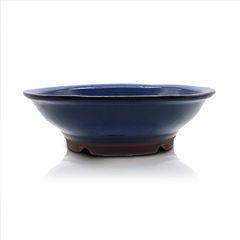 【未使用】盆栽鉢 大型 8号 丸陣笠鉢 青色 海鼠釉 四日市萬古焼 約24センチ 陶器 浅型 雑木 松柏 中型 中品 植木鉢 苔 うめきち盆栽用品店