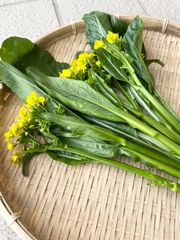 野菜　アスパラ菜　2袋　ネコポス