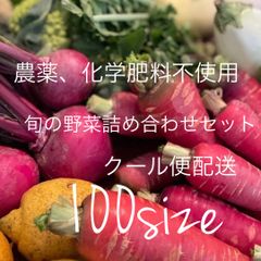 クール便配送[農薬、化学肥料不使用] 旬の野菜詰め合わせセット　100サイズ