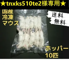 2025年最新】ホッパーマウスの人気アイテム - メルカリ