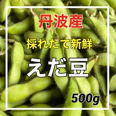 丹波産‼️大粒枝豆‼️止まらない枝豆‼️500g‼️