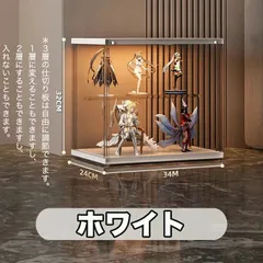 フィギュアケース・コレクションケース Bigサイズ  GARAGE KIT BOX 870