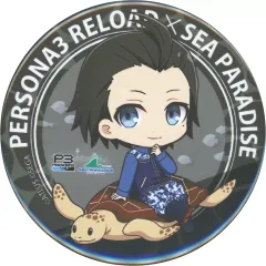 ペルソナ3 主人公 結城理 望月綾時 フィギュア タペストリー シーパラ ペルソナ3 主人公 結城理 望月綾時 フィギュア タペストリー